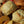 Orchard Peach Cream Scones - Gluten Free